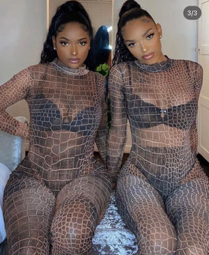 2 piece brown set